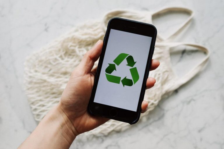 Person holding phone with recycling wallpaper
